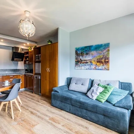 Apartament Srebrzysty Tatary Zakopane Eksteriør bilde