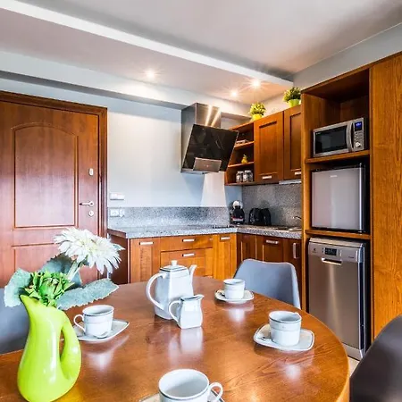 Apartament Srebrzysty Tatary Zakopane Eksteriør bilde