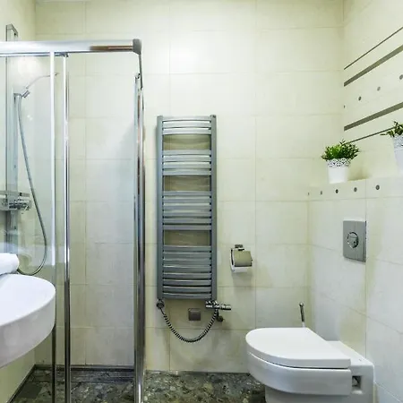 Apartament Srebrzysty Tatary Zakopane Eksteriør bilde